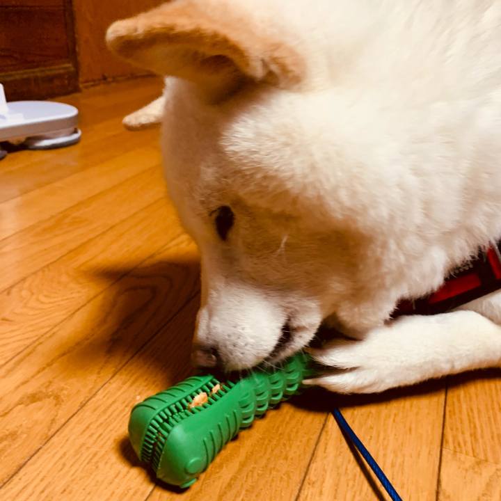 F90e5ceb ffee 4e46 b072 e32a889e1b91 1641730136258