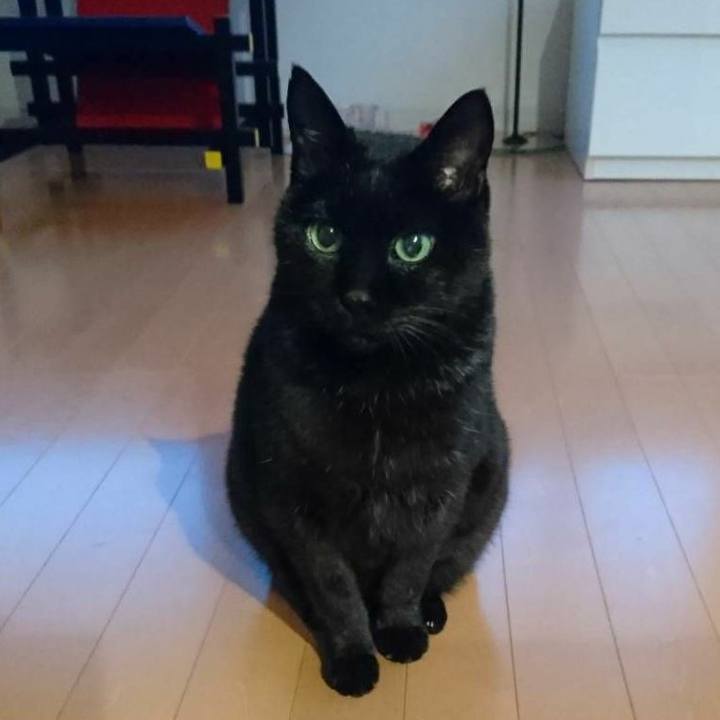 F90e64fa e809 4b9a 864c ad162e931230 1577704976789