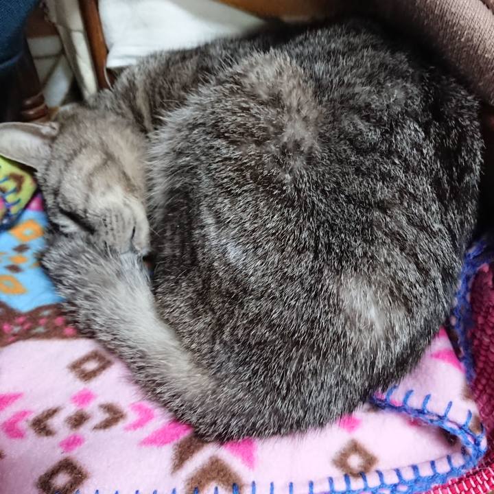 F90e7cd3 c9ad 4666 8160 73859e7749ff 1553293712906