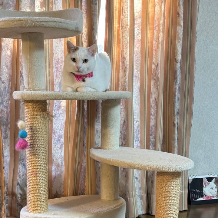 F90eb010 9cdd 492a 959e 811ce17f2fa8 1764062837817