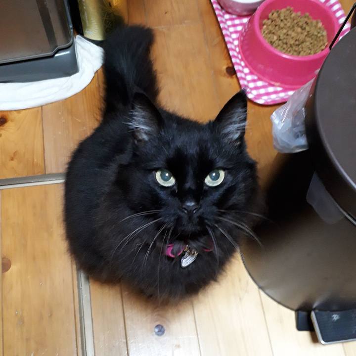 F90ec02d daaf 488b a8ce cc5541400ae4 1521399274754