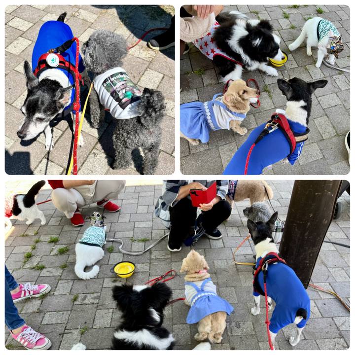 F90ed1c0 5d3a 4604 99aa 891e71463e0b 1651545672900