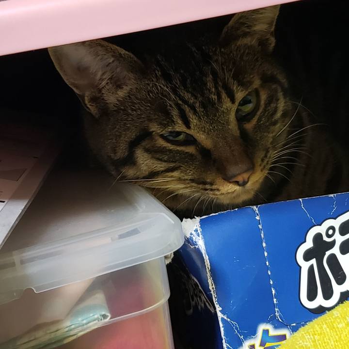 F90eec31 da6e 4669 841c 16336c535ef2 1557241593217