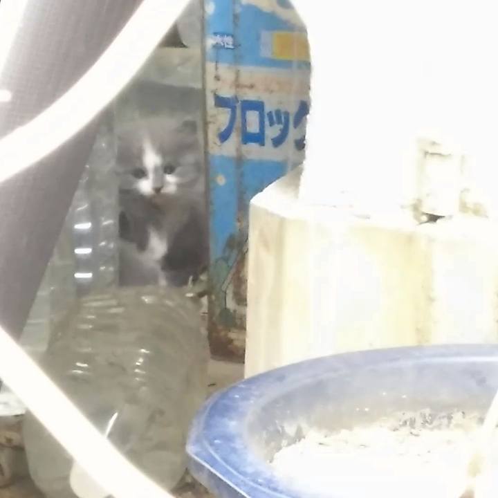 F90ef5ed 1604 46bb 82fe fc357a099858 1558264023150