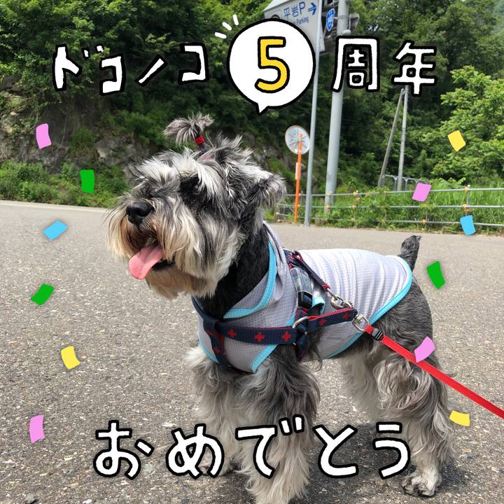 F90f09d5 ecc1 4059 aacd 35bc5e07b554 1622864902117