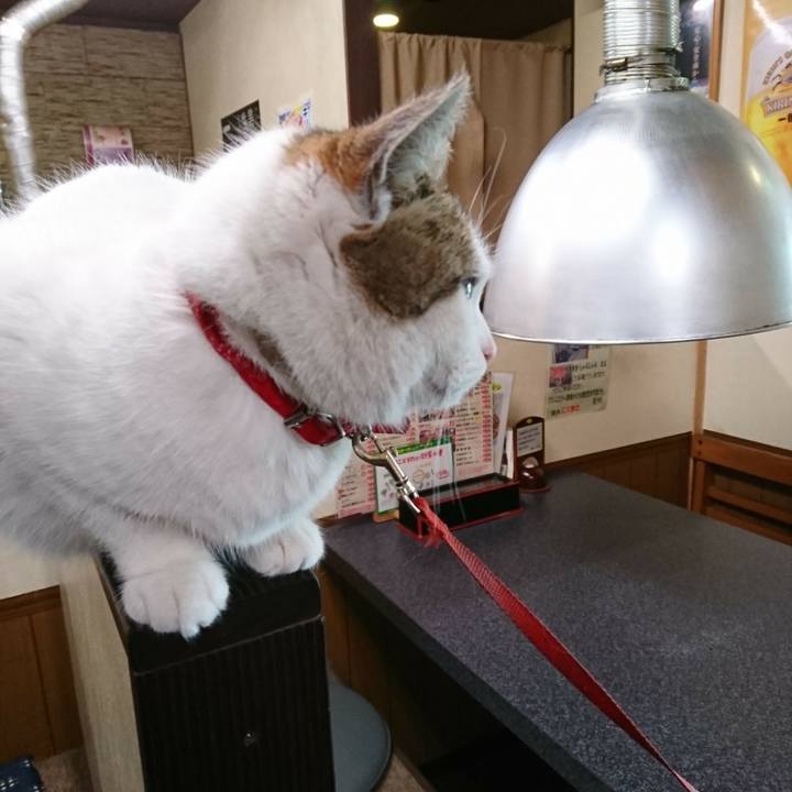 F90f0a57 5bda 457d a21e e643b8e4c887 1516676745281