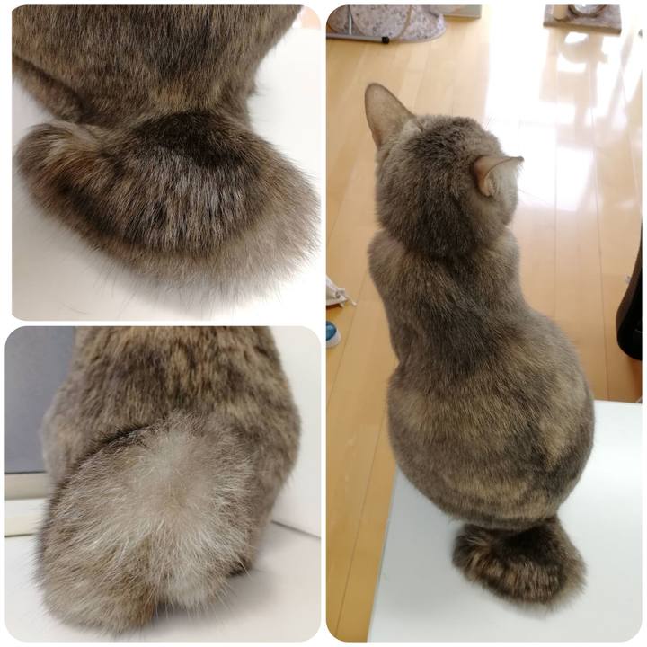 F90f18c3 eee3 4d6a 9f0c 32afa765b151 1544516291185