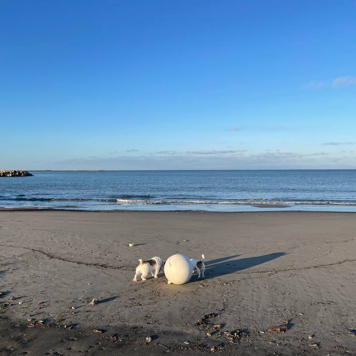 F90f27fc 641c 42ed 9db8 8fa2ec66630f 1700609774759