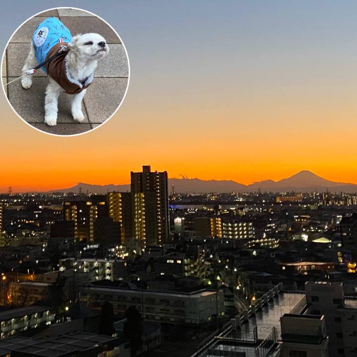 F90f5f52 d1d9 4121 ba26 66db61da6145 1577940171133