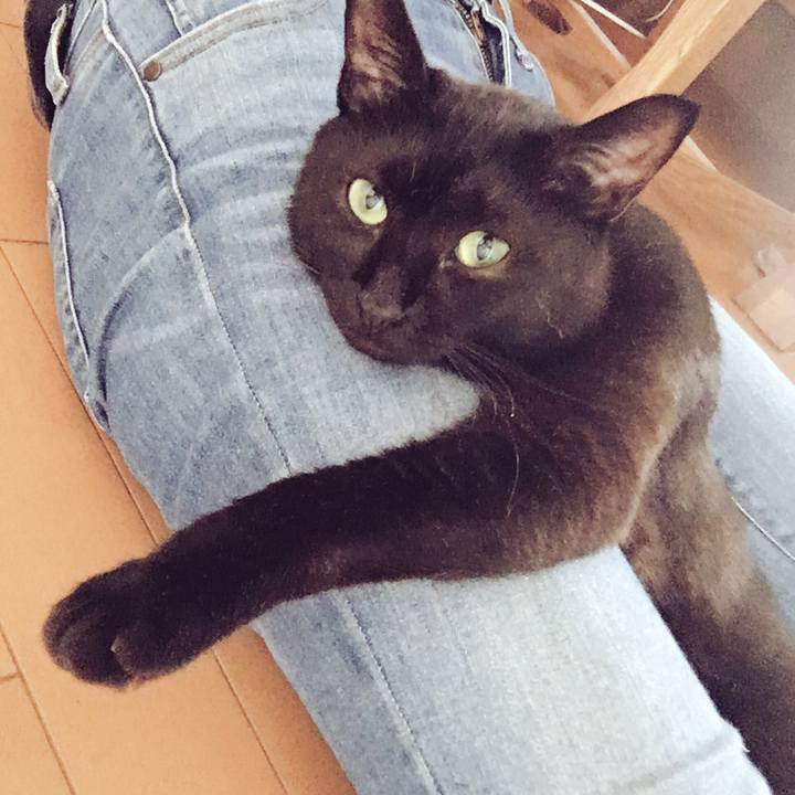 F90fcd85 f1cc 4e16 a1ad 07ae0020248e 1535093552766