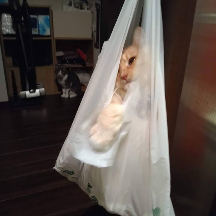 F90fd4af 75ee 488d 93d1 c7c31d1c0f14 1667213685521