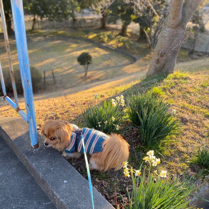 F90ff6a5 f4c0 43ce a566 bcf768d13133 1581210352441