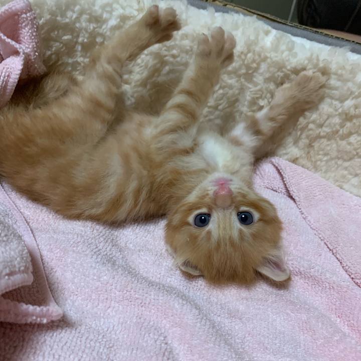 F9103e8e e1a0 4d61 adc4 1b9e968aa05d 1570114547905