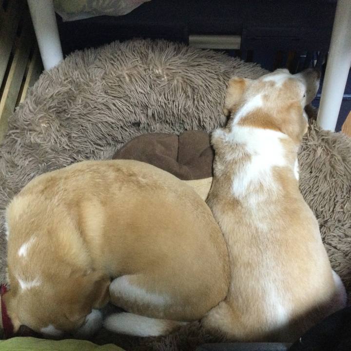 F910436a 0bf2 4fa6 b510 8d46b8b68227 1630836218740