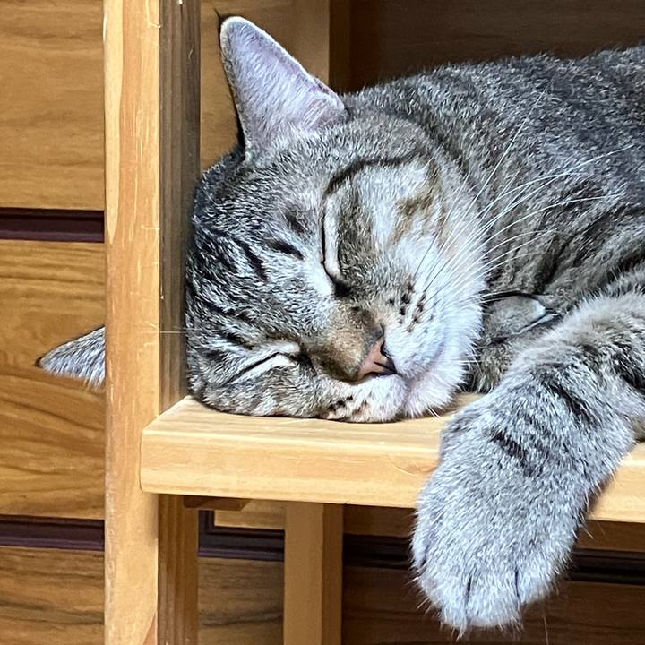 F9107f14 eb21 4a66 b140 6981ae2b9c73 1758812434296