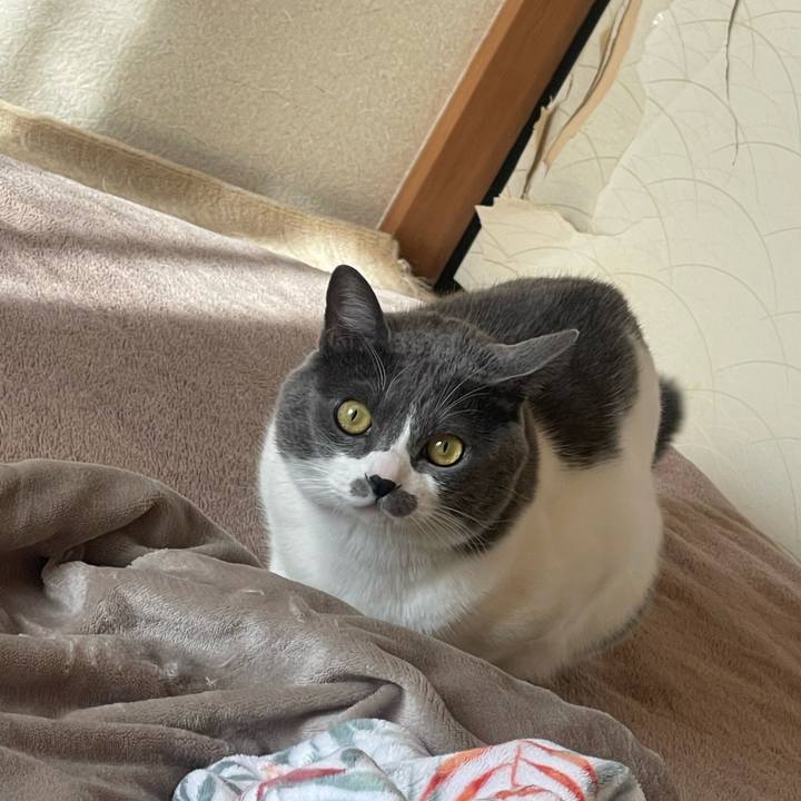 F91095c0 60a3 4fd9 938e 8fd452605b70 1703896766362