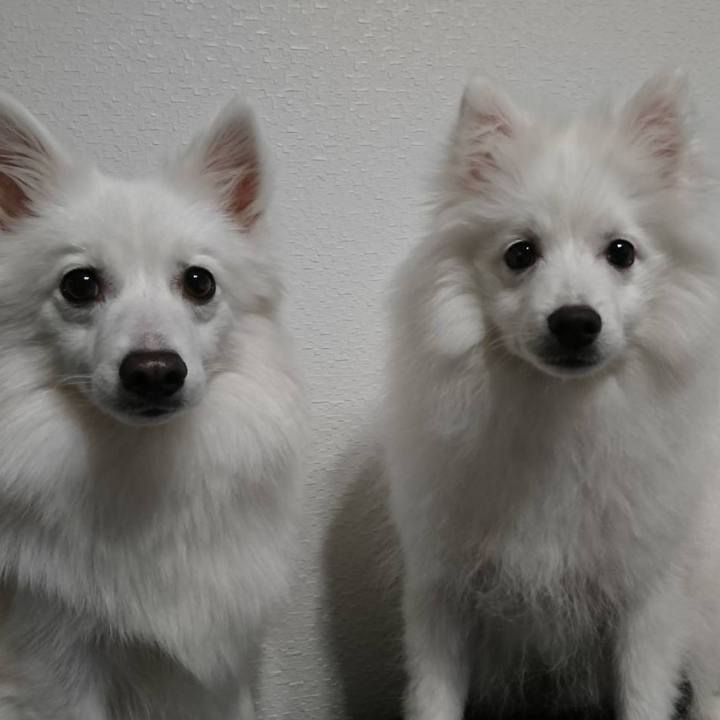 F91099e5 3533 463d 8b9b 14b66fd02bd7 1552952871517