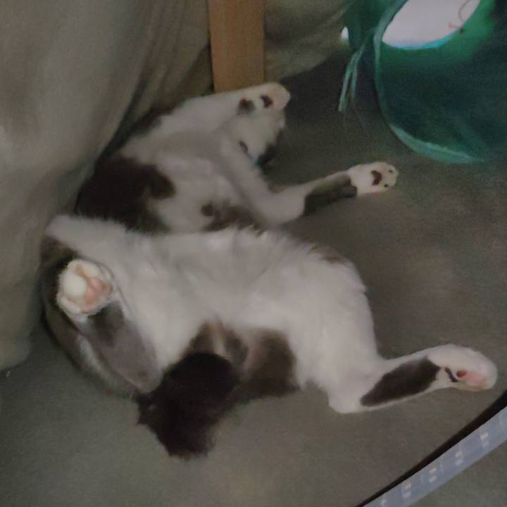 F910a2e5 3965 45ed a92e 98dceaa8290c 1700736793813