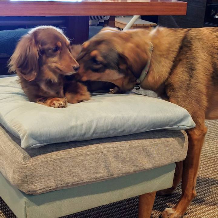 F910a9b4 fead 481f a8f9 f1c49be7da16 1712381096986