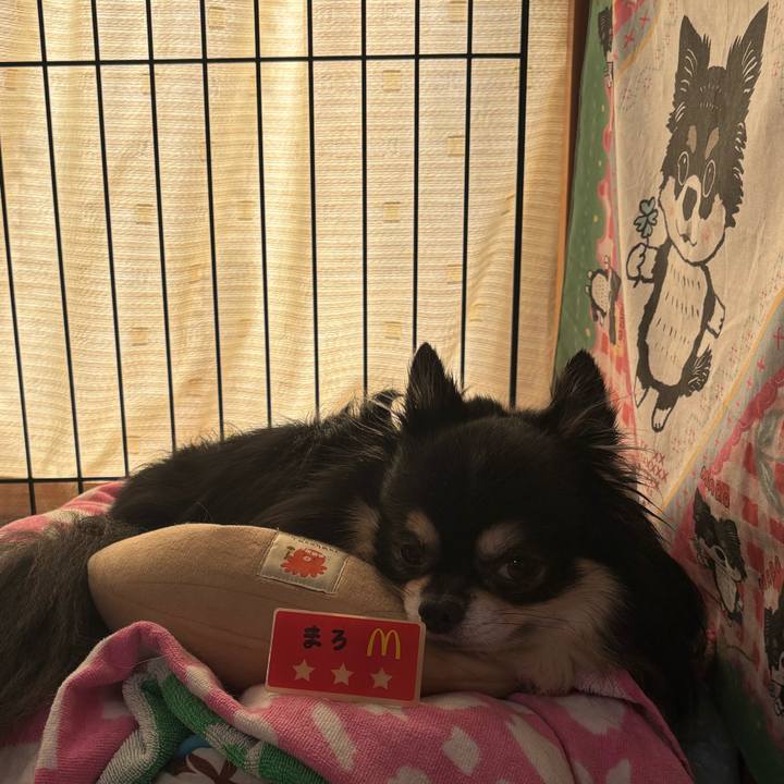 F910c165 6e5c 46b1 8f53 ac21011c137b 1758256442165