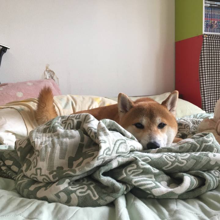 F910c49a 8d12 4fd2 ab0b 87b92937e6e0 1535703265497