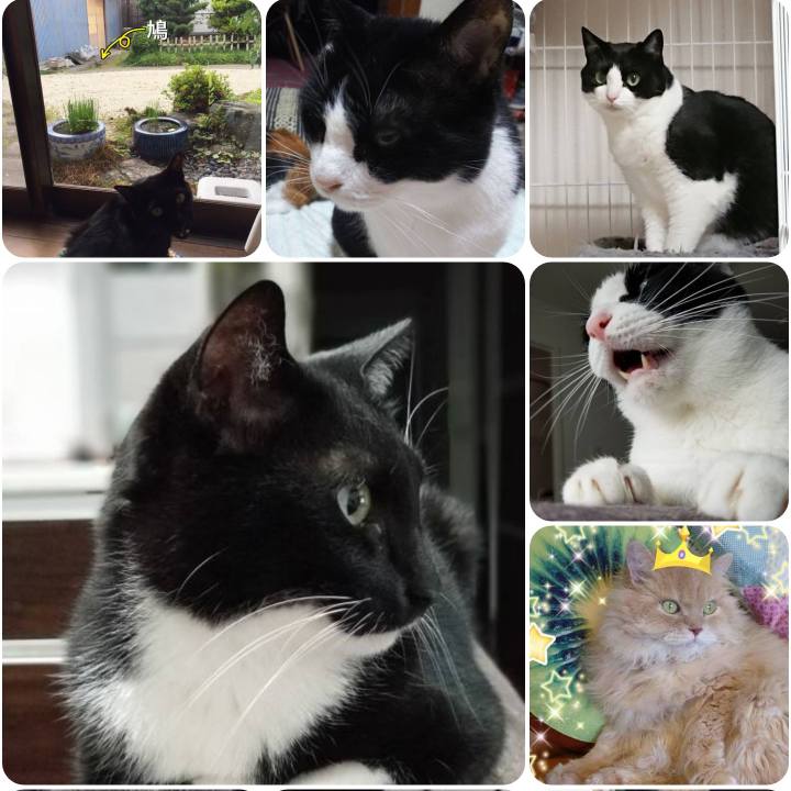 F9114e74 090e 4664 9cb4 dabd53086d45 1558436125226