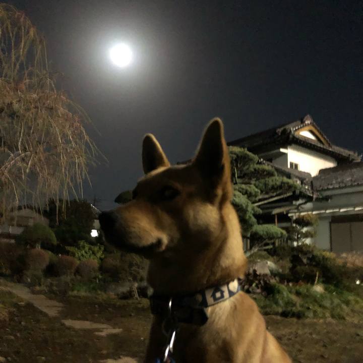 F9115b11 84fe 4dd2 baf5 62499a82228e 1550705124656