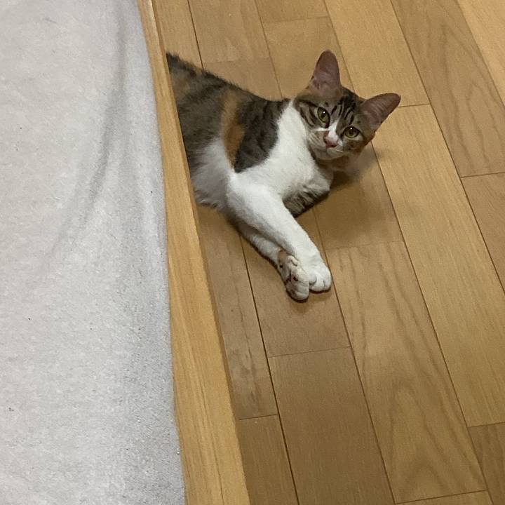 F9117581 968a 4deb 8d03 b8c103a9a7c4 1663625357606