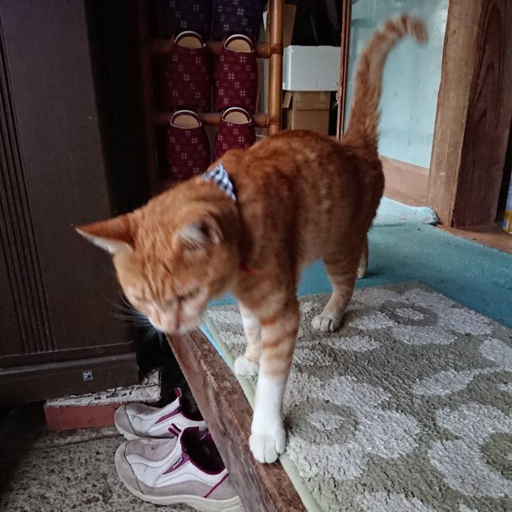 F9118f5a 7a72 4d54 8089 065b968865e2 1568969755471