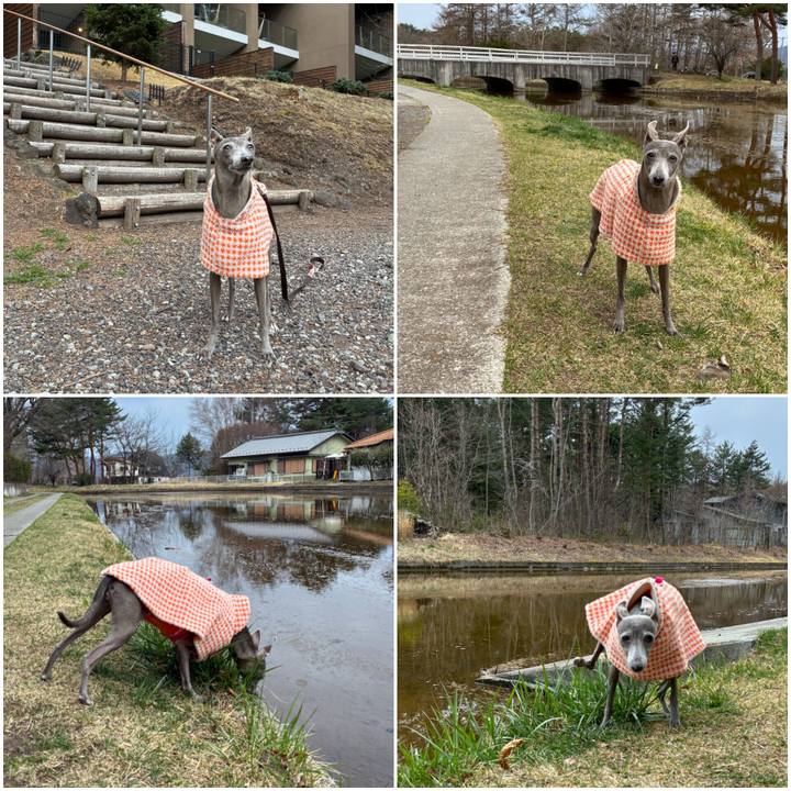 F911acc9 71ef 45e3 a828 dea16b1331d1 1776587911637