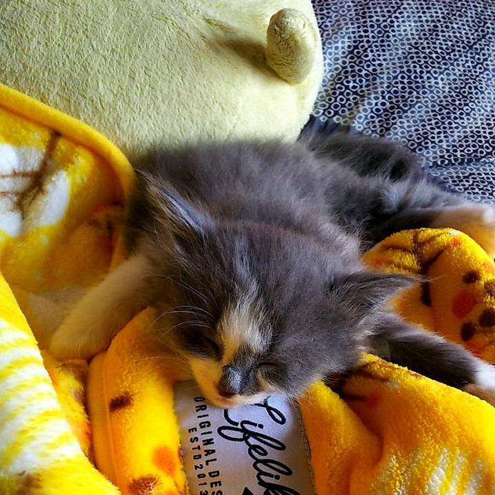 F911c178 717e 4f75 978a ef2c257d1112 1582450604391