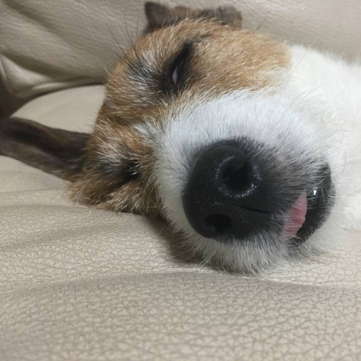 F911d10b e325 4bc3 bef1 3f9300a97903 1511452398510