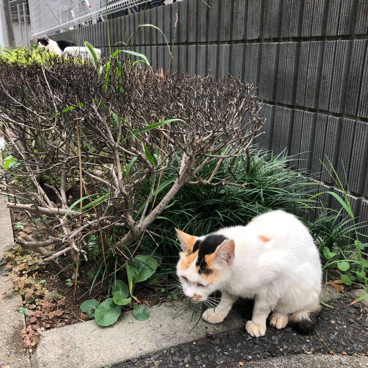 F911d658 6439 4468 b9c5 defa845977ea 1633431185213