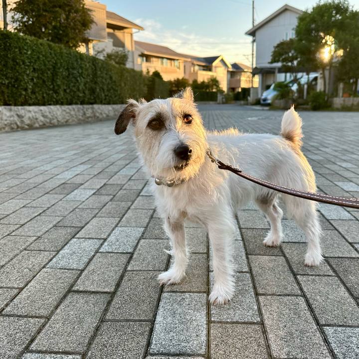 F911e098 b6fc 4837 8f38 a42ac75dcdeb 1731157988891