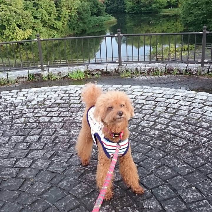 F91203dc 123b 406a 9f16 55191010541e 1535616570049