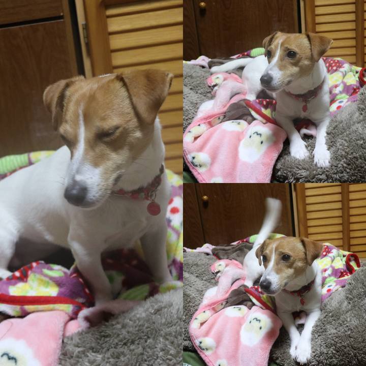 F91216fc e8c4 478c 98ce d19e38c795c7 1517479963219