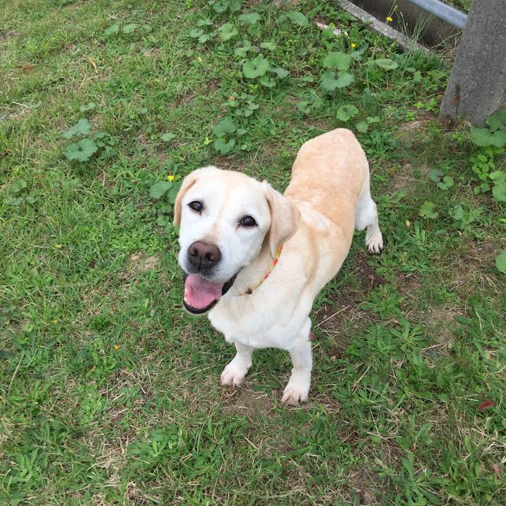 F912282f 1ad4 4568 8309 cef9e16827a3 1569912171786