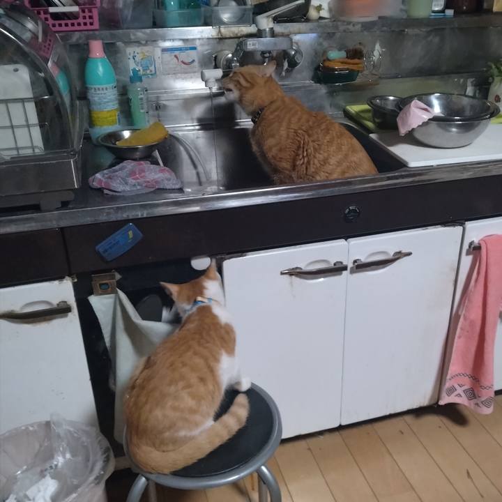 F9123b01 8a35 4b4f 857f e7439fa51b44 1732227482820