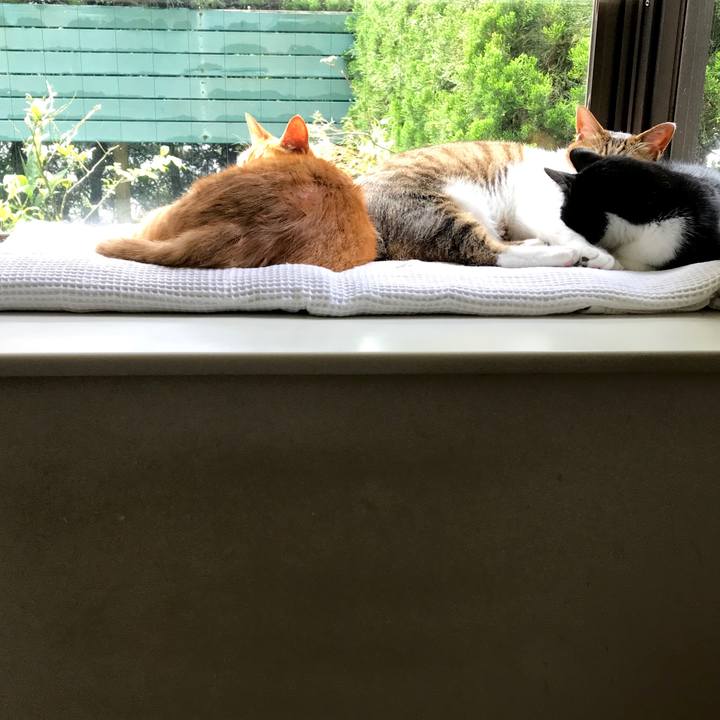 F9124579 6c83 476e a54f 8179aaa91455 1527152468804