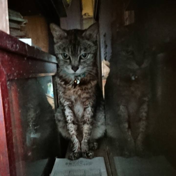 F91287de 9585 4506 8935 62dd24fda986 1564175566234