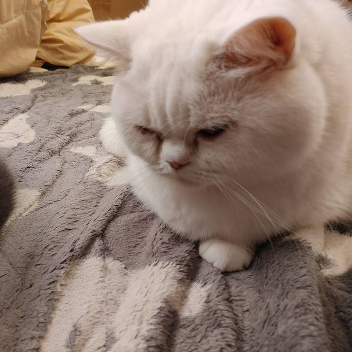 F912ad8f 5920 454b b68b e5c3e934fa97 1608454965333