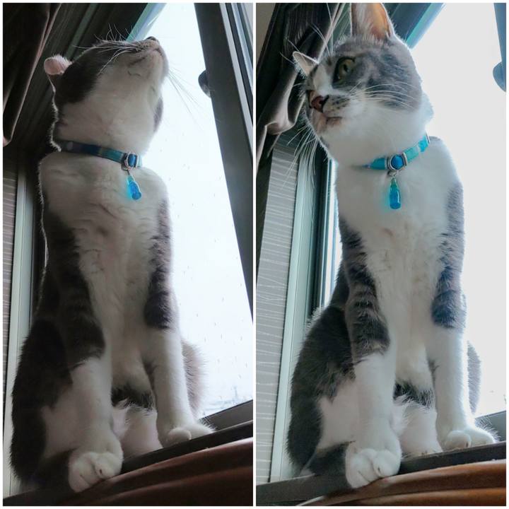 F912bab2 869a 4a29 a084 cb5b307b6326 1663974585723