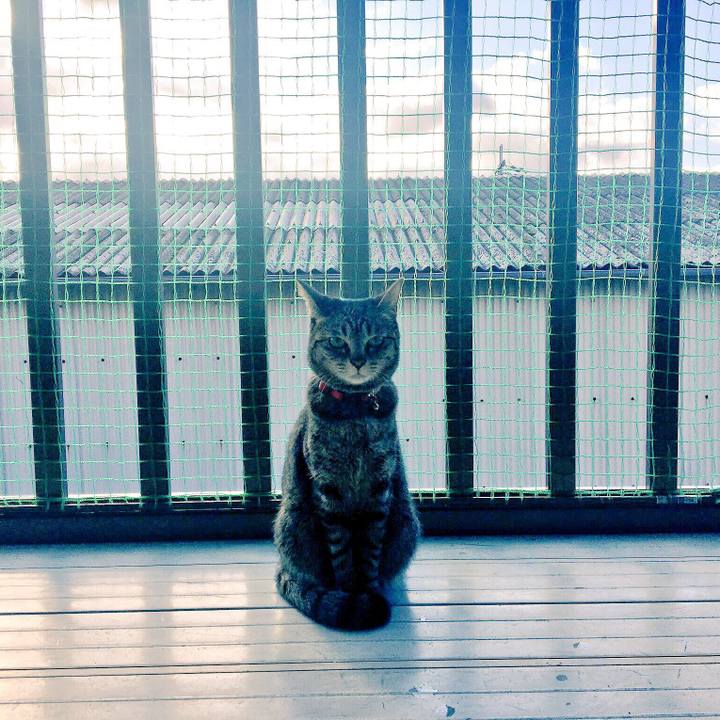 F912bed2 d89f 454d a09f 10619f88d3ae 1519860503114