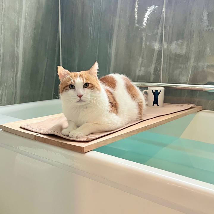 F9134ba9 1ef0 461d af57 c004fd5b5d83 1765586823029