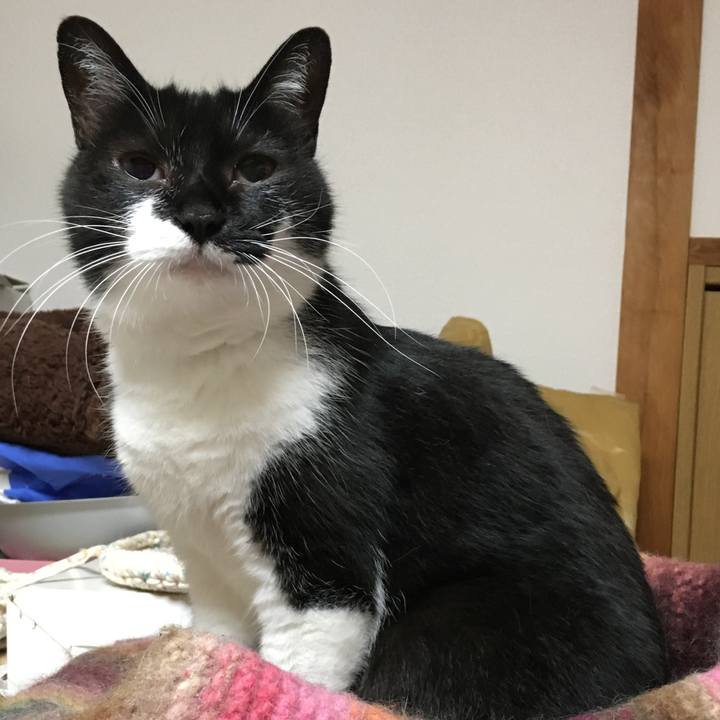 F9135d85 8789 4311 b39e c405fa379909 1530564836019