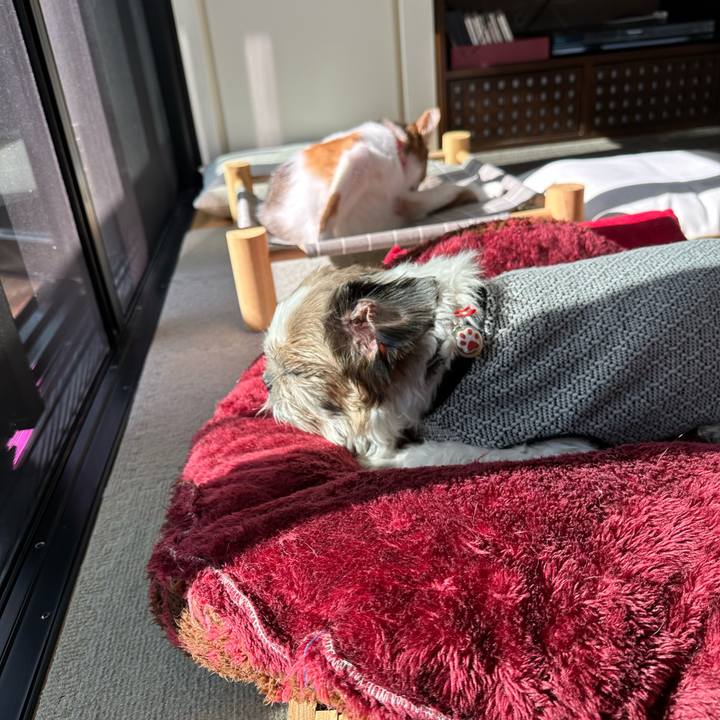 F91371e6 9564 44d7 a6f4 f93ad821cfc1 1697847018640