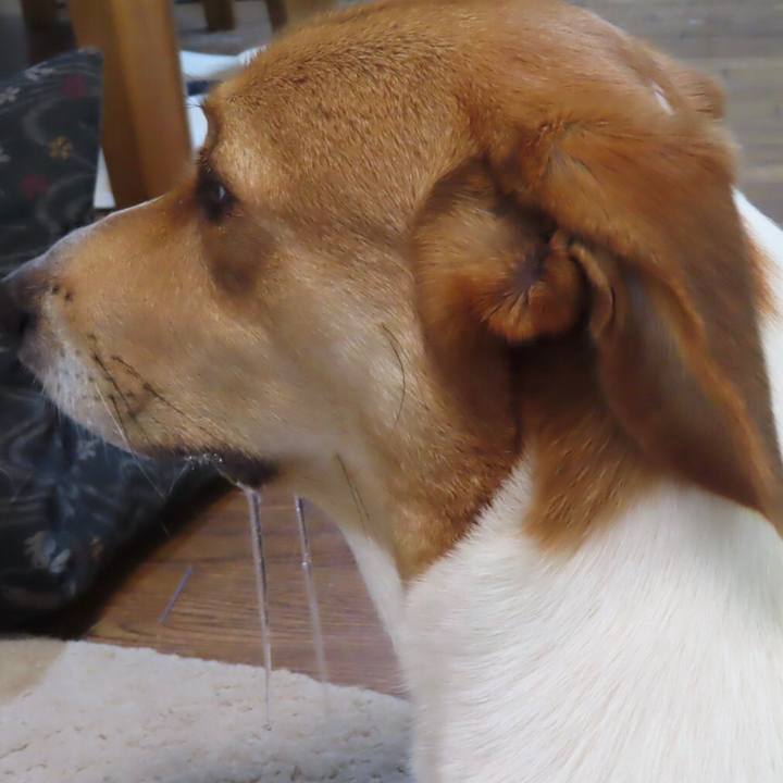 F913a842 cadd 4c93 8980 2201b4661854 1630287830879