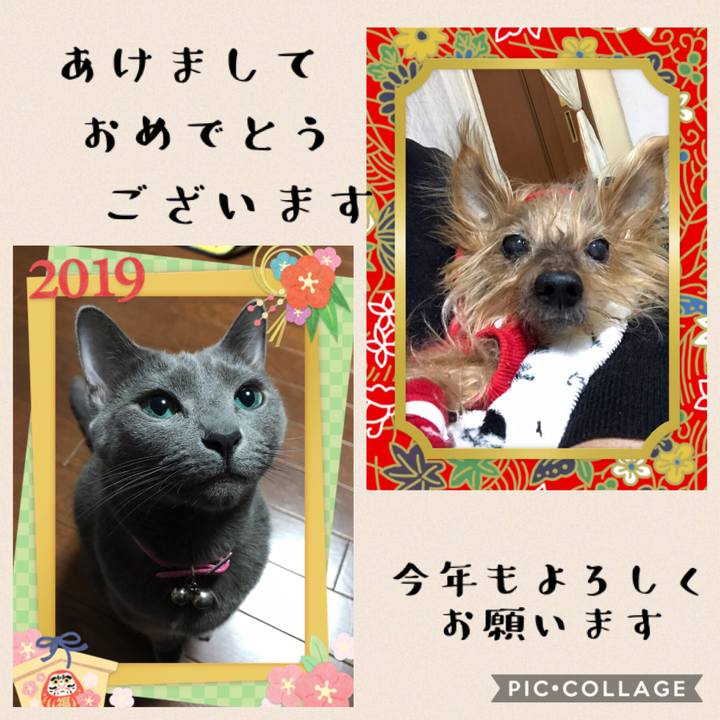 F9141744 2857 42a9 b5e0 797cfbb78af0 1546304287492