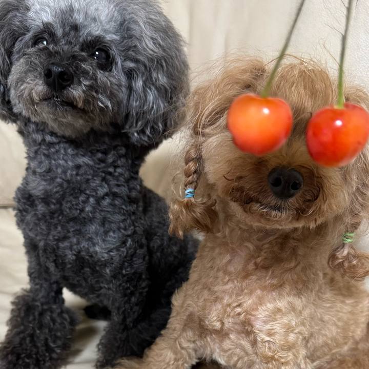 F91429bd dccf 43d5 bc86 1960286038a0 1750805221598