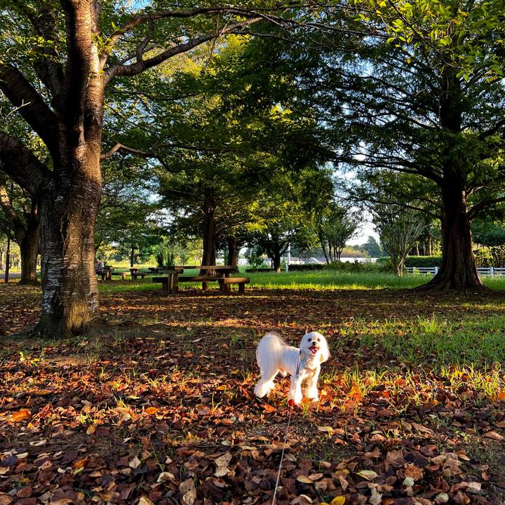 F914326f 15d0 4b5d 985d ba6463e3e046 1662803396295